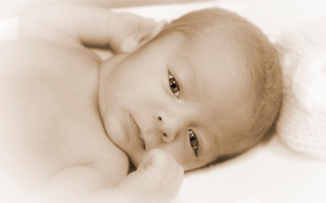 Baby Photography 6