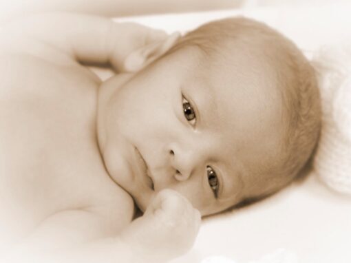 Baby Photography 6