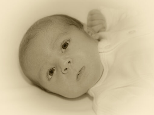 Baby Photography